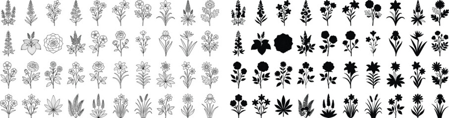 Fototapeta premium Silhouette and outline illustration of diverse flowers and plants for decorative design use