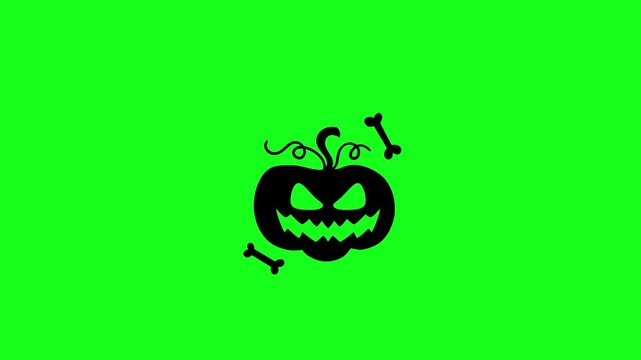 Halloween pumpkin black silhouette animation. Jack o lantern icon on green screen background