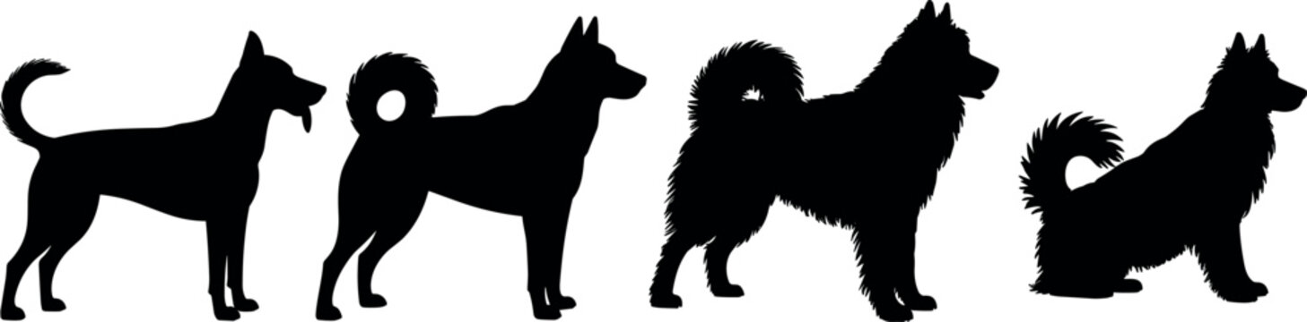 Dog Breed Silhouette Collection Featuring Husky Malamute and Spitz Type Dogs Vector