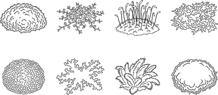 Moss and Lichen Botanical Icons Set with Different Forest Ground Flora Types in Line Art Vector Style