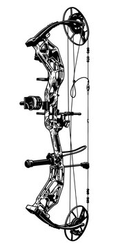 Detailed compound bow vector illustration 