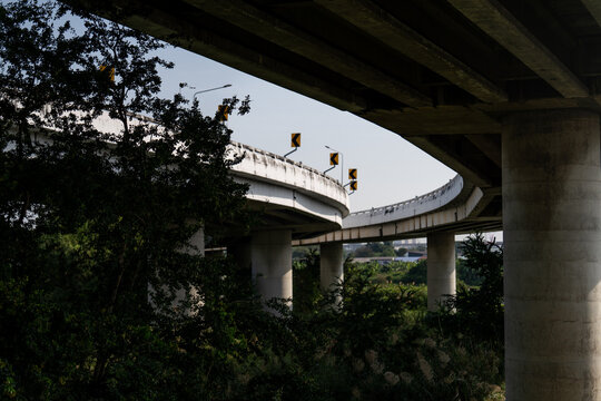 Elevated highway over a lush forest in Bangkok, Thailand