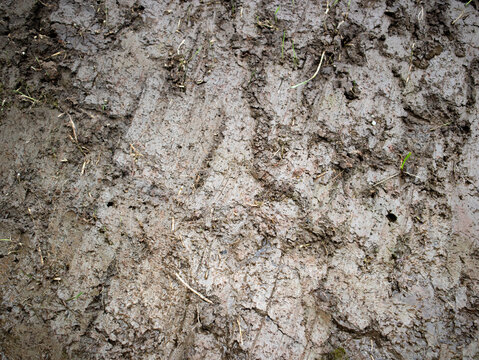 The soil texture in rice fields is wet because there is enough water