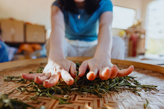 Hands Spreading Dried Tea Leaves on Bamboo Tray