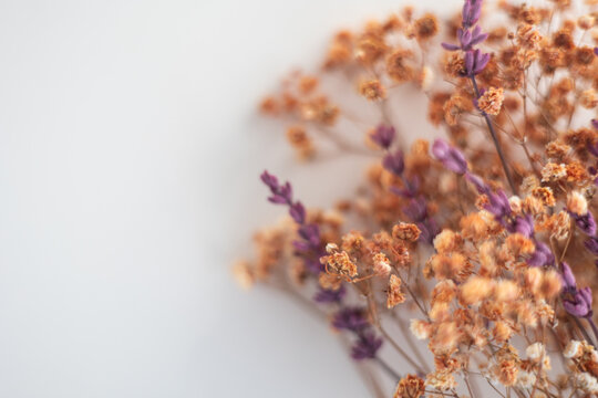 Bouquet of dried lavender and gypsophila offering texture and a warm, faded aesthetic