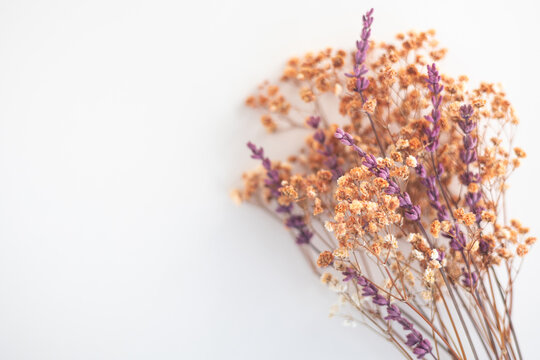 Dried rustic bouquet with lavender and baby's breath on white background