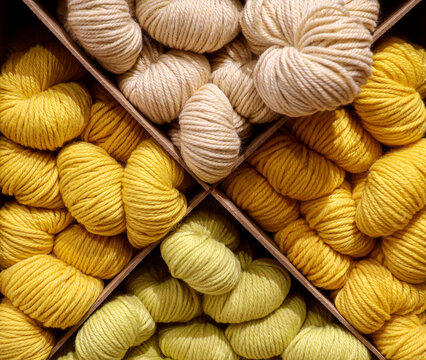 Close-up detail of yellow wool skeins. 