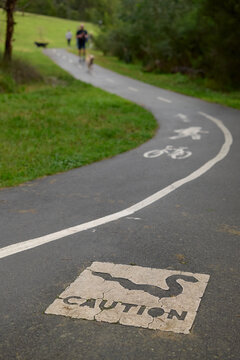 Caution Sign on Winding Path for Snakes in Public Park in Australia