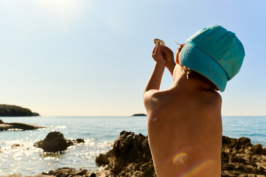 Child Exploring a Seashell on a Sunny Beach