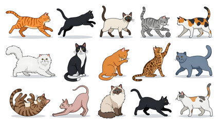 Fototapeta premium Variety of Cat Breeds: A charming collection of cat illustrations, showcasing diverse breeds in various playful poses, capturing the essence of feline companionship.