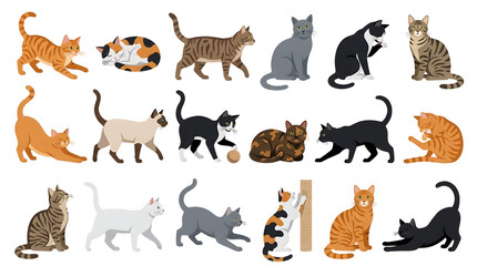 Obraz premium Collection of Cats in Various Poses