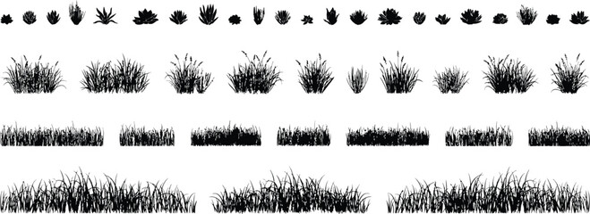 Collection of black silhouette grass and succulent plant nature © MDSHAHIN