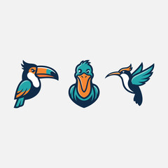 Set of colorful bird illustrations featuring a toucan a pelican a flying hummingbird for graphic design hummingbird tropical illustration © Nur-uz-zaman