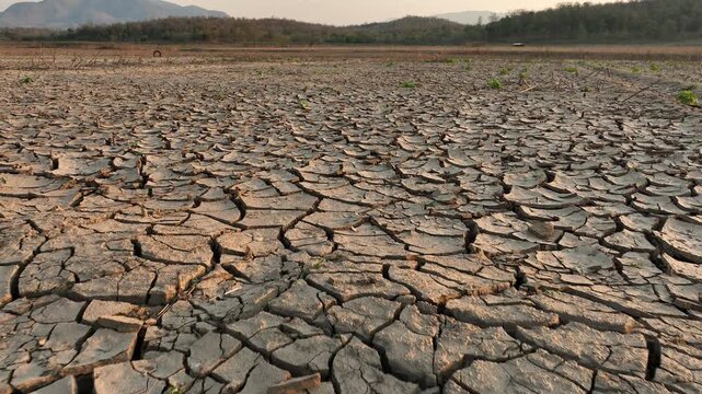 barren paddy field desertification el nino land degradation