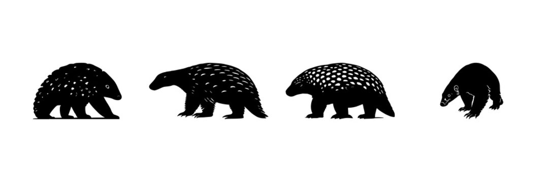 Pangolin silhouette set with solid black rare wildlife icon featuring endangered mammal, defensive stance, and white background