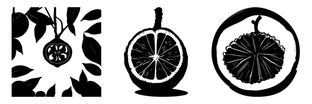 Laboratory-grown mangosteen cross-section silhouette set with solid black outline featuring exotic fruit, future food, and white background