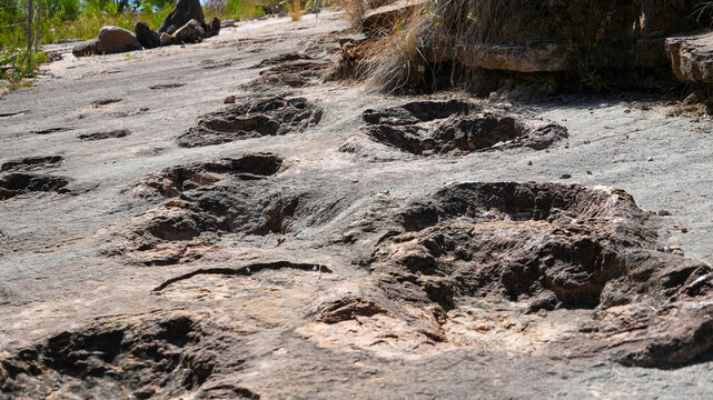 Dinosaur Footprints in Toro Toro National Park