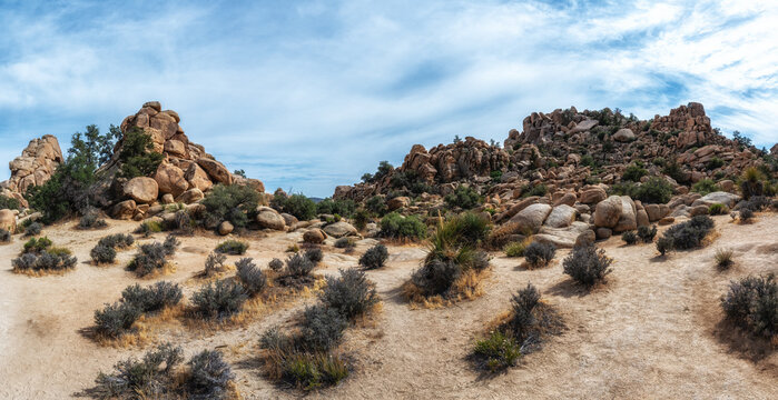 Joshua Tree National Park, California, USA