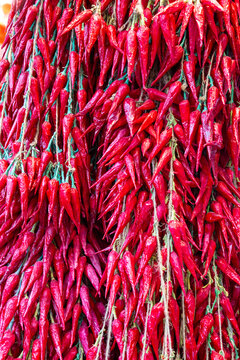 Many red hot chilis for cooking spicy meals