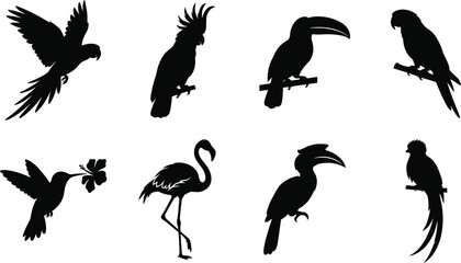 Tropical birds black silhouette vector icons set featuring parrot cockatoo toucan macaw hummingbird flamingo hornbill and quetzal © Robiul