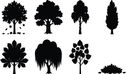 Tree Silhouette Set, Maple, Oak, Birch, Pine, Willow and Bush Trees Icon Collection © SHOURAV DATTA