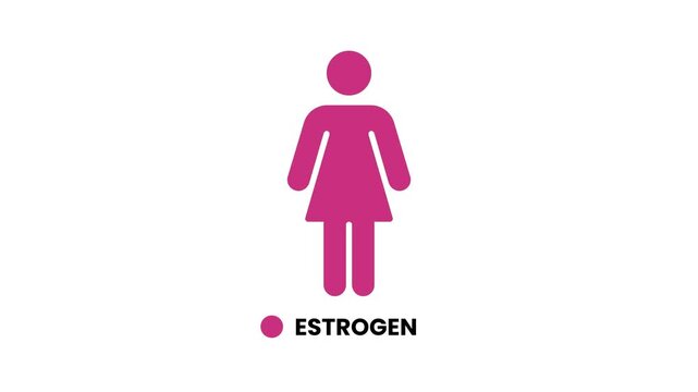 Female body silhouette highlighting estrogen concept animation isolated on white background