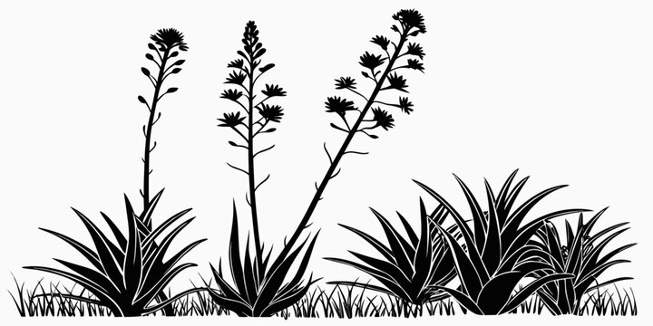 Black desert plant silhouettes against white background, isolated black silhouettes