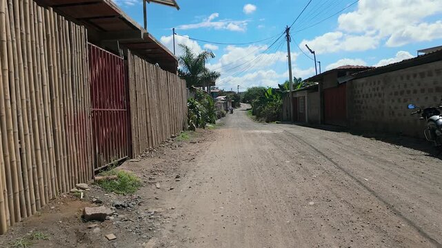 rural dirt road in a village with bamboo fences and tropical plants