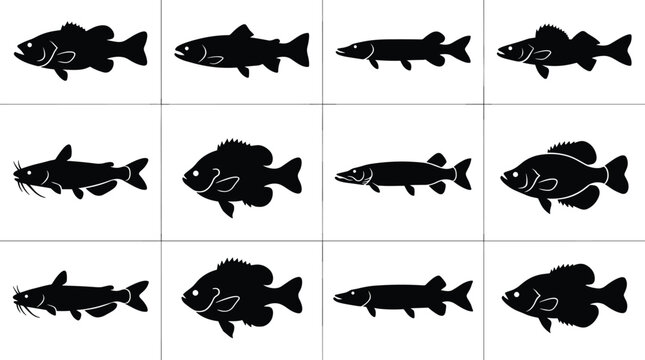 Freshwater game fish silhouettes set featuring bass trout pike perch catfish bluegill crappie and walleye species