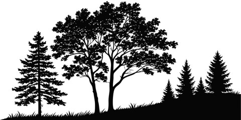 Black forest pine tree silhouette against white background © Akshay