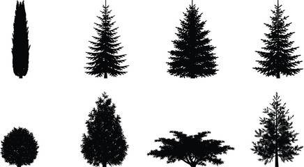 Fototapeta premium Evergreen Conifer Tree Silhouette Vector Set with Pine Spruce Cedar and Shrub Collection