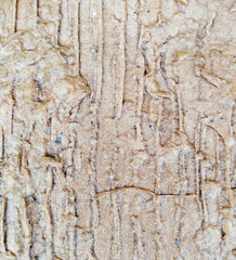 Obraz premium Rough textured background brown natural wood surface