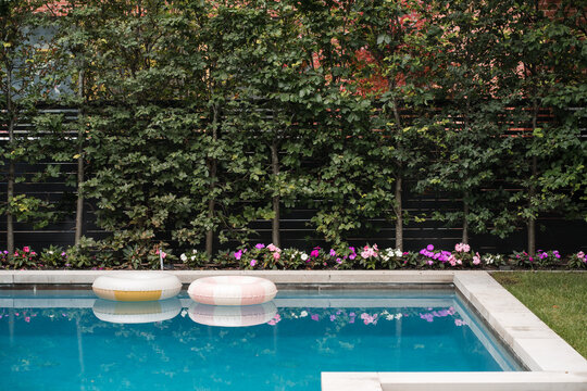 Modern luxury swimming pool with inflatable floats and garden fence, Wide shot of a backyard luxury swimming pool with pastel inflatable floats, surrounded by a lush green hedge