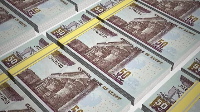 Stacks of 50 EGP or Fifty Egyptian pound banknotes or currency. Neat Rows of Egypt 50 Pound Bank note in 3D Motion. 4k Animation.