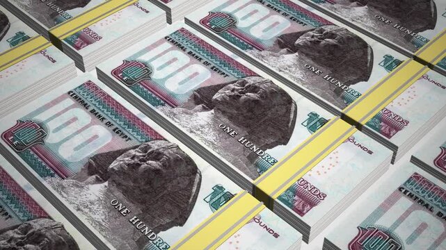 Stacks of 100 EGP or One Hundred Egyptian pound banknotes or currency. Neat Rows of Egypt 100 Pound Bank note in 3D Motion. 4k Animation.