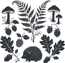 Created on hand drawn silhouette fern, mushrooms, strawberries, blackberry oak leaves, acorn and hedgehog vector art on white background © MdMasud