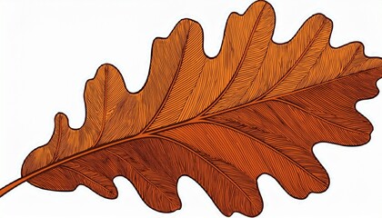 Naklejka premium Oak Leaf Isolated On White