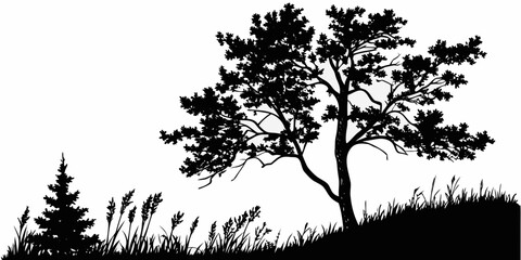Black tree silhouette against white background, isolated, minimalist style © Sa