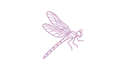Purple dragonfly insect line art icon © Rahmat