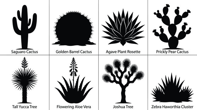 Desert plants and succulents silhouette vector icon set featuring saguaro golden barrel cactus agave prickly pear yucca aloe vera joshua tree haworthia