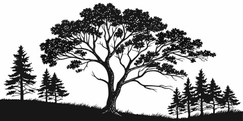 Silhouette of tall pine and deciduous trees against white background, pine tree forest © Mithu