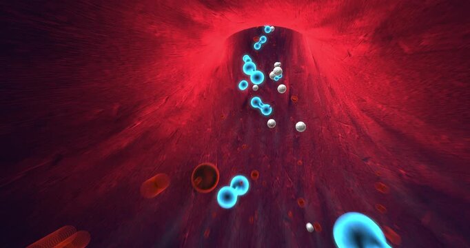 Red blood cells and white blood cells flowing through vascular system 3D render. Science And Health Related 3D Animation.