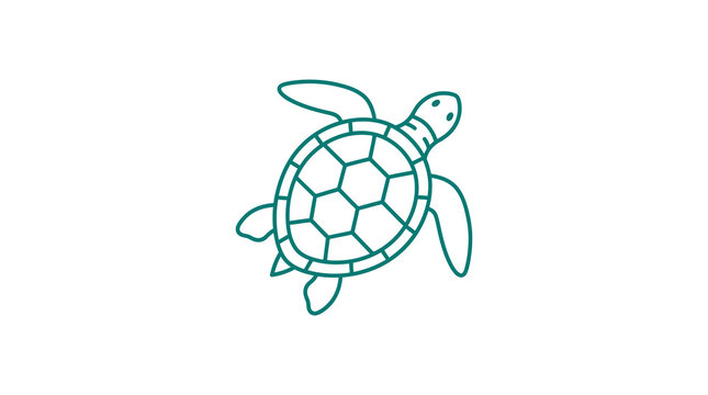 Top view sea turtle shell pattern line art.