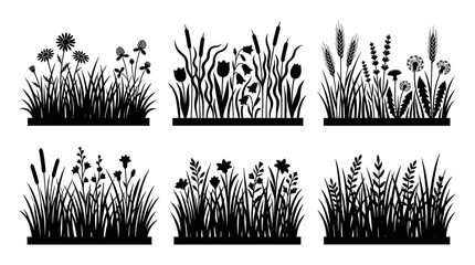 Plants with Flowers and Grasses in a Meadow Setting, Illustrated in Black and White Featuring Illustration, Nature, Botanical © MstRozina