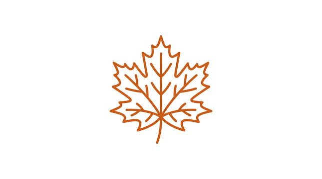 Detailed maple leaf outline graphic