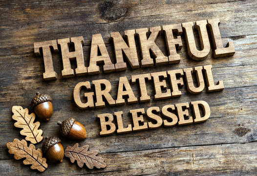 Wooden letters spelling thankful grateful blessed with acorns and leaves on rustic background