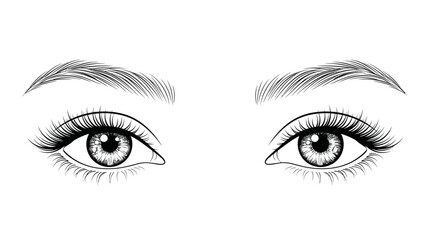 Fototapeta premium Detailed Hand Drawn Female Eyes and Eyebrows Vector Illustration