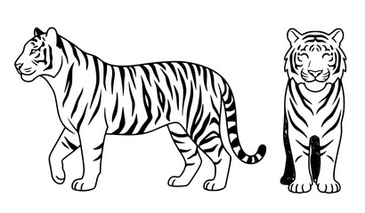 Fototapeta premium Modern Flat Tiger Character Side and Front View Vector Collection on White