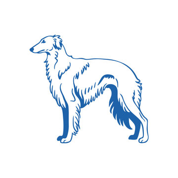 Borzoi Silhouette Blue Line Art On White Background