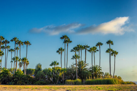 Coastal senic features of Rancho Pallas Verdes, California, USA